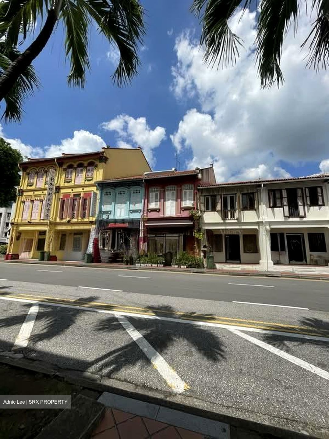 Bukit Pasoh Conservation Area (D2), Shop House #578656901